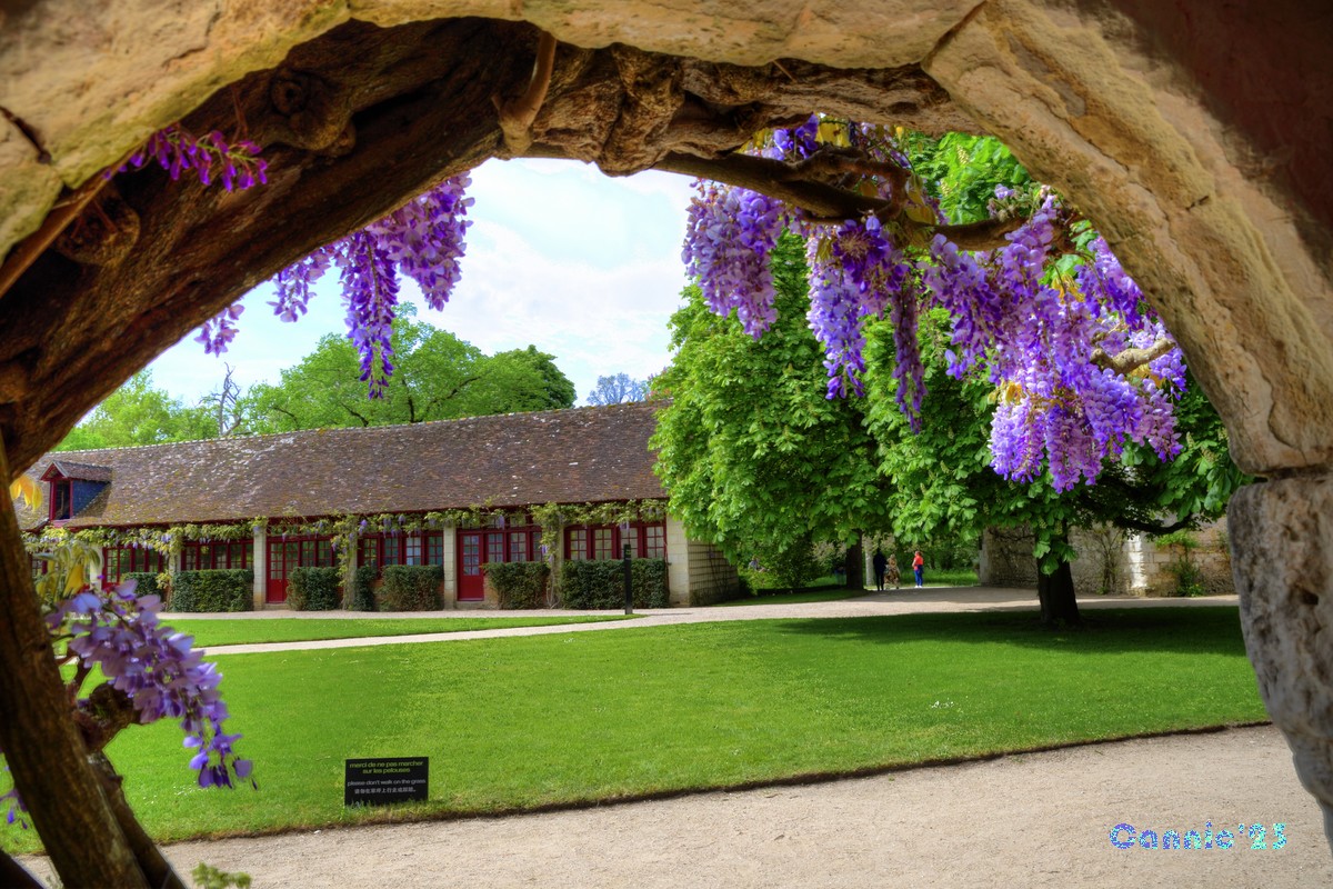 20230501Chenonceau_54.jpg