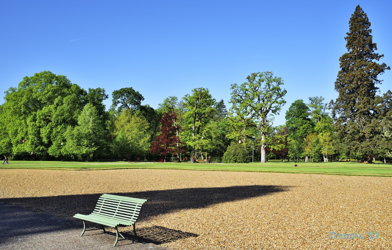 20230501Cheverny_12.jpg