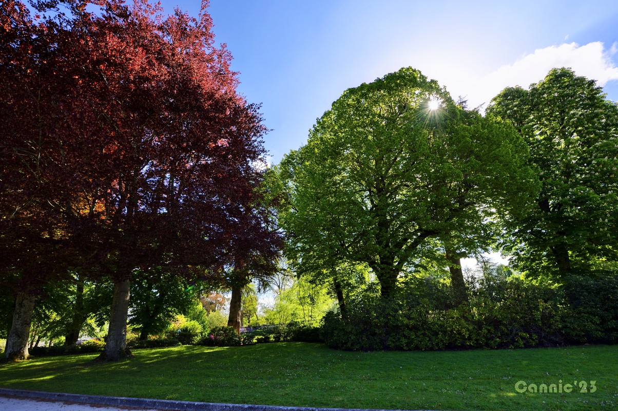 20230501Cheverny_34.jpg