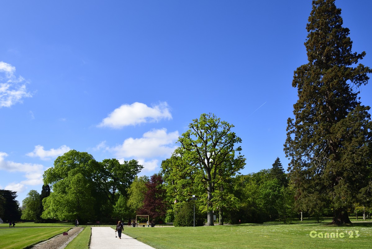 20230501Cheverny_35.jpg