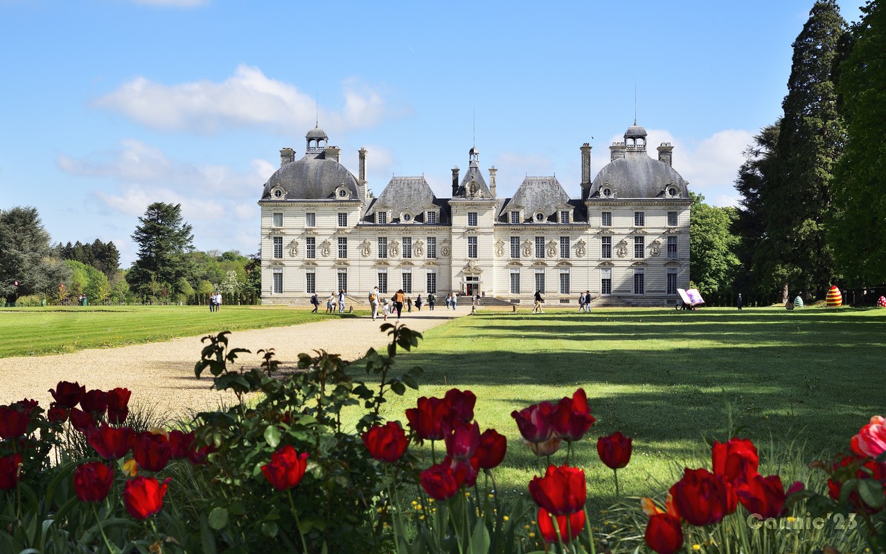 20230501Cheverny_37.jpg