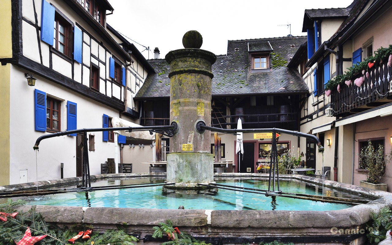 20231205_Eguisheim_17.jpg