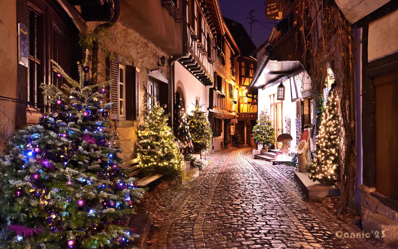 20231205_Eguisheim_23.jpg