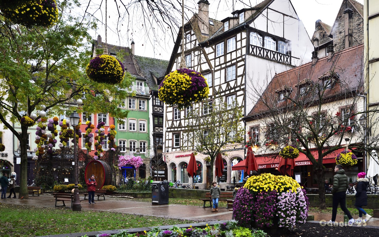 20231207_Strasbourg_51.jpg