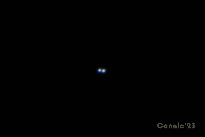 kPup_20230313.jpg