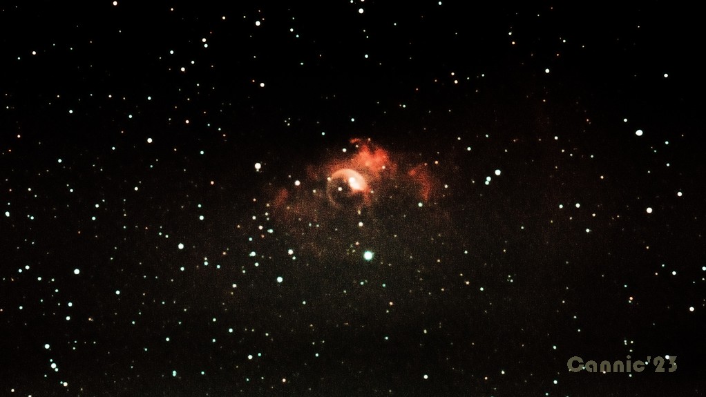 C11_20230125.jpg