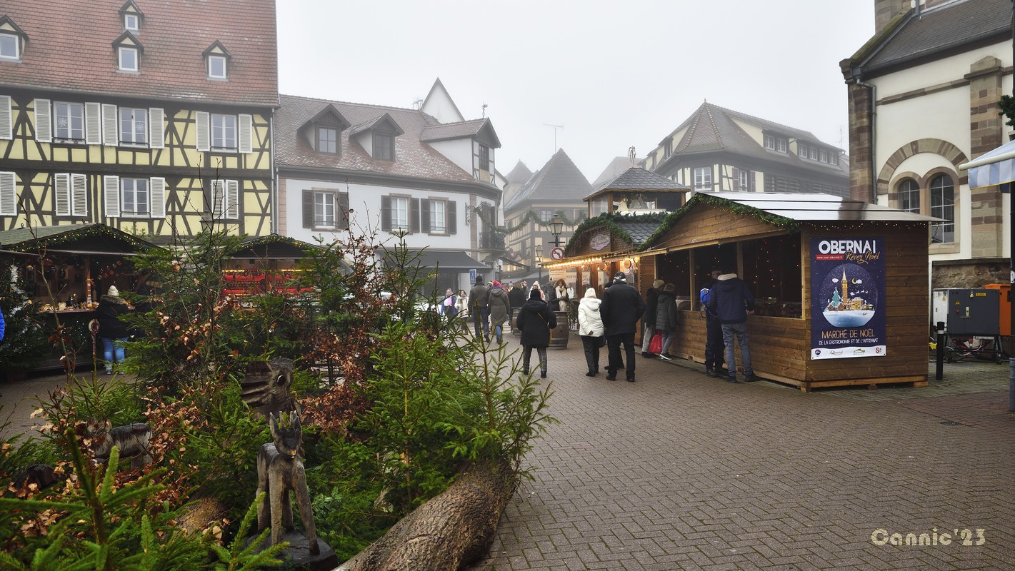 20231207_Obernai_02.jpg