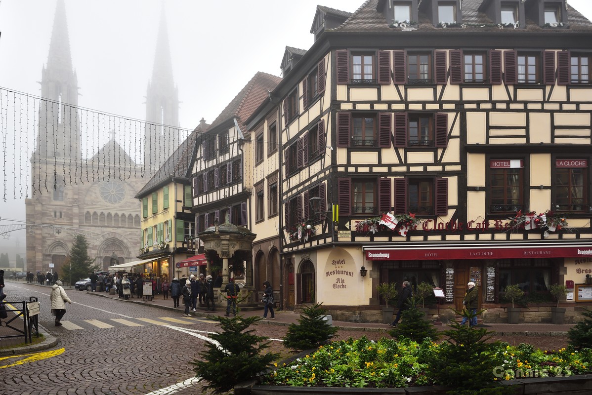 20231207_Obernai_11.jpg