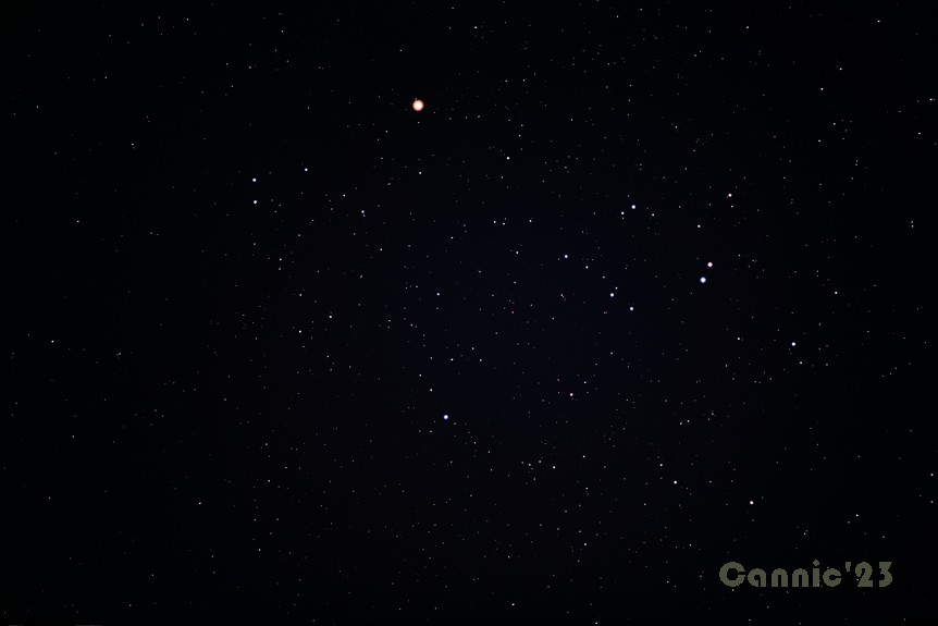 C41_20230306.jpg