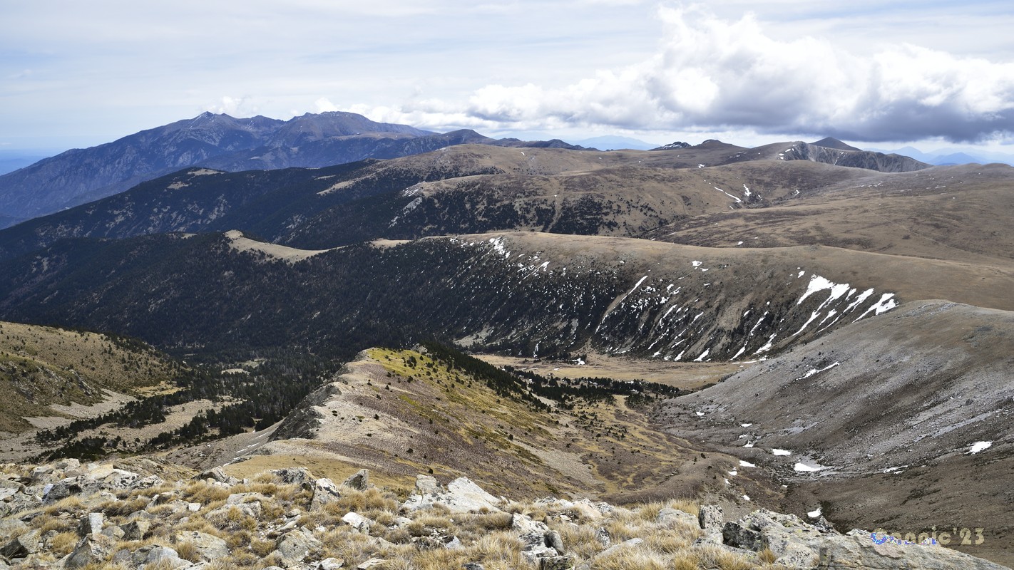 20230423PicDona_20.jpg