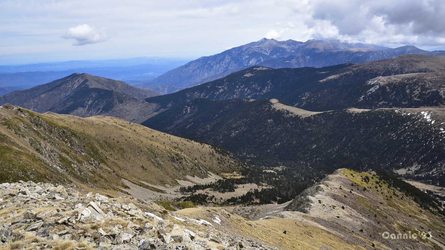 20230423PicDona_21.jpg