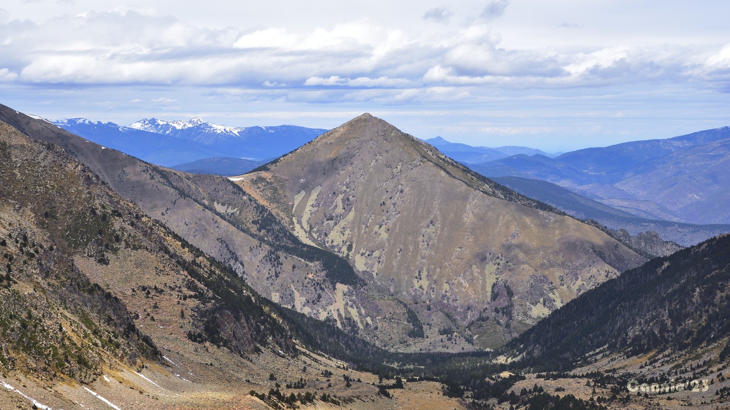 20230423PicDona_30.jpg