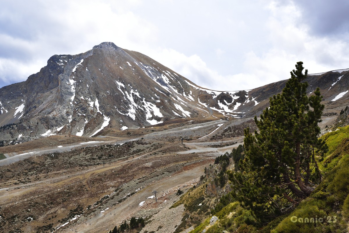20230423PicDona_35.jpg