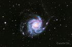 M101_20240725_2_small.jpg
