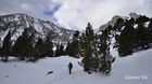 C31_20240305_20240316_small.jpg