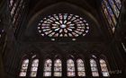 20241031_Lleo_11_small.jpg