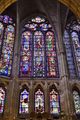 20241031_Lleo_14_small.jpg