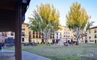 20241031_Lleo_22_fused_01_small.jpg