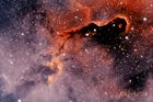 IC1396_20241111_02_small.jpg