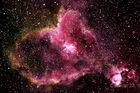 IC1805_20240206_01_small.jpg