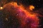IC2177_20240313_small.jpg