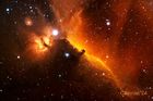 IC434_20240217_small.jpg