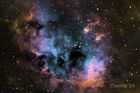 NGC1848_20210204_small.jpg