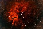 NGC6823_20240726_small.jpg
