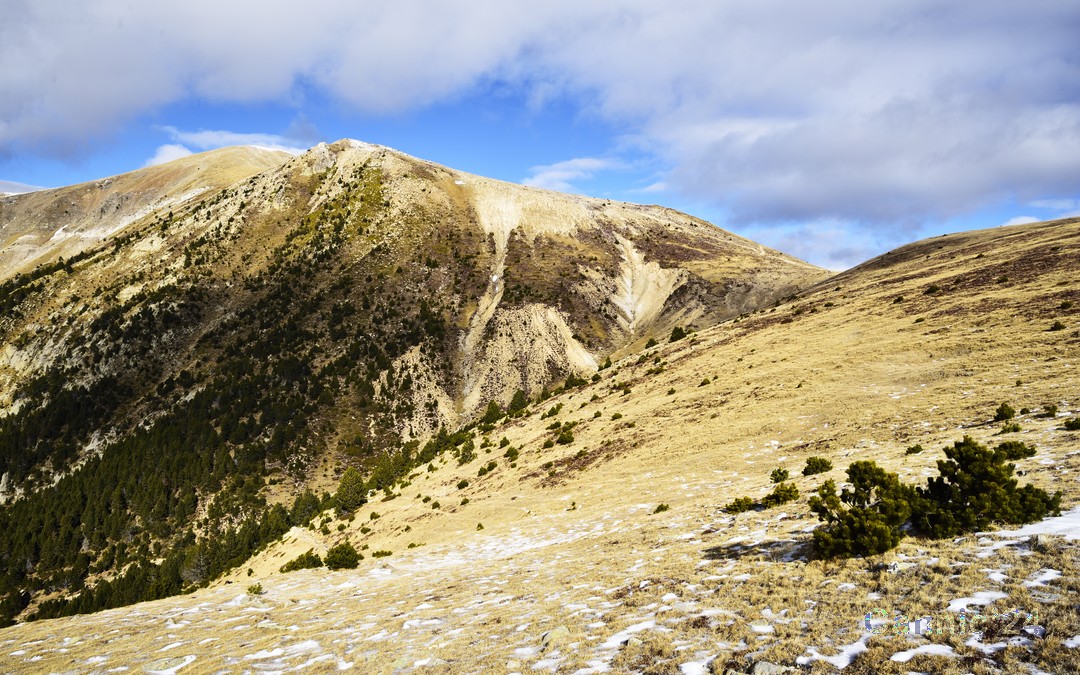20240212_PicDona_04.jpg