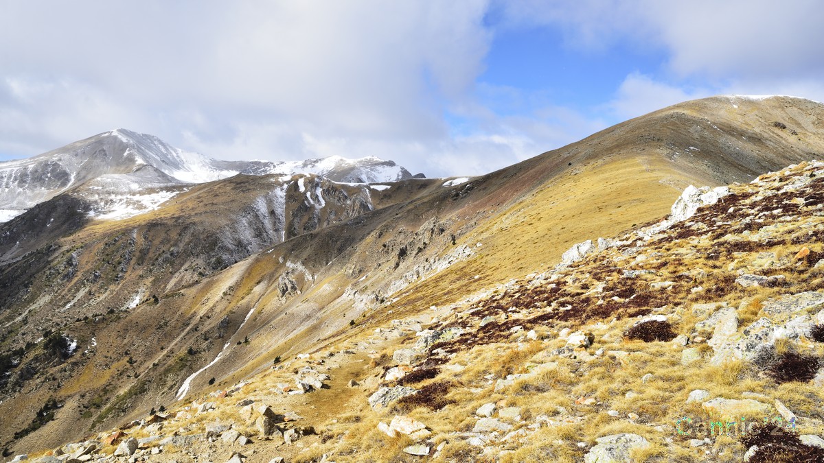 20240212_PicDona_15.jpg