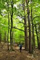 20240623_PicUrbion_06_small.jpg