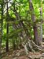20240623_PicUrbion_10_small.jpg