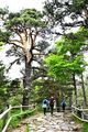 20240623_PicUrbion_12_small.jpg