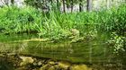 20240623_RioLobos_28_small.jpg