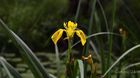 20240623_RioLobos_34_small.jpg