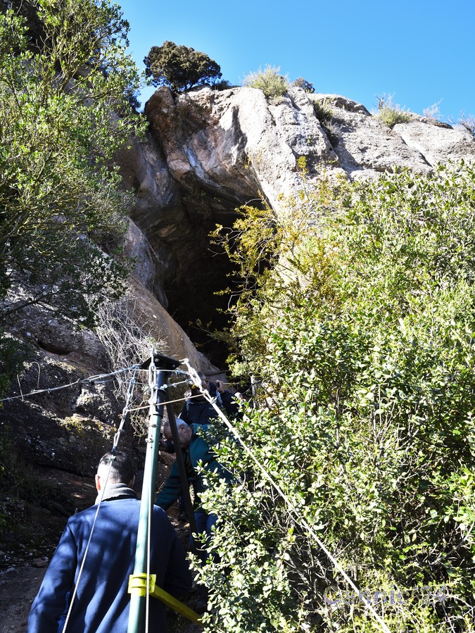 Simanya_20240120_29.jpg