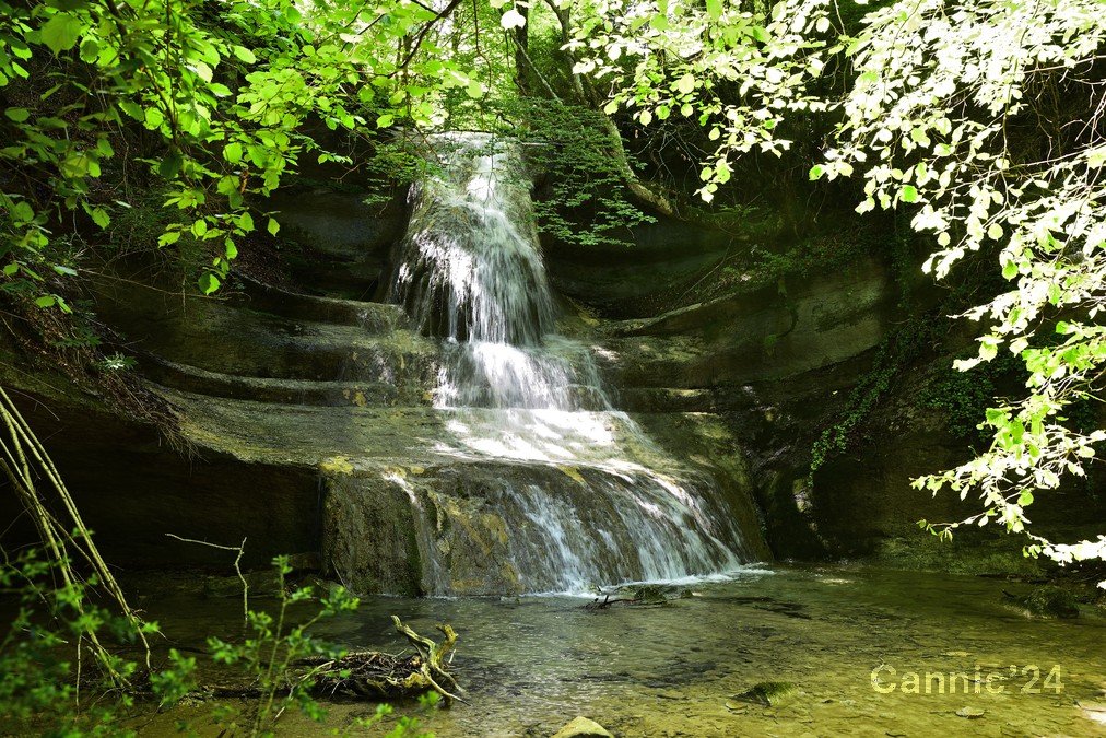 20240616_TorrentMasica_36_00036.jpg