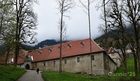 Chartreuse_20250424_07_small.jpg