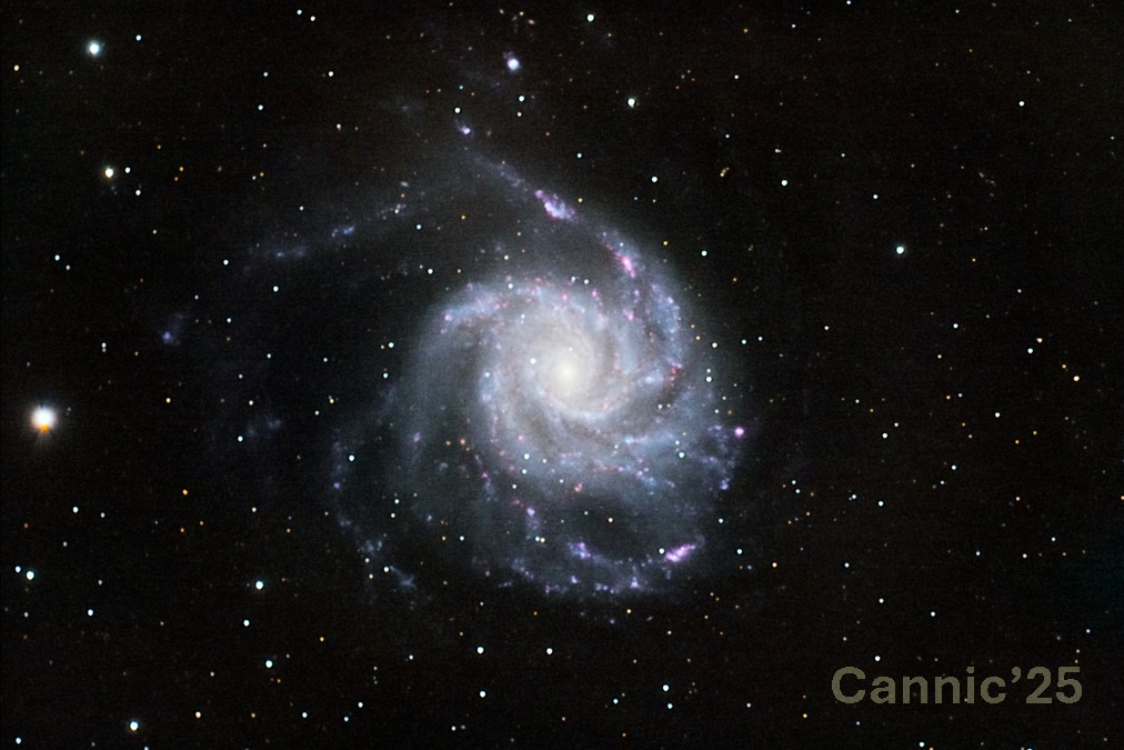 M101_20250401_1.jpg