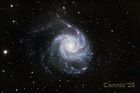M101_20250401_1_small.jpg