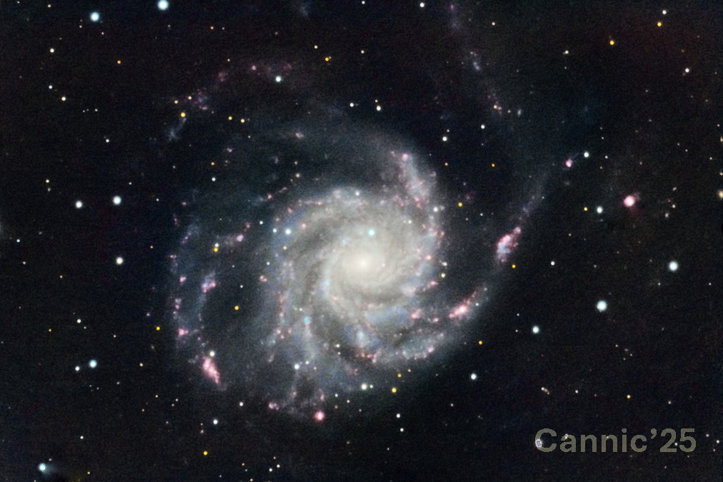 M101_20250517_02.jpg