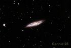 M108_20250517_small.jpg