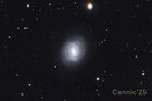 M58_20250418_small.jpg
