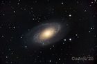M81_20250204_1_small.jpg