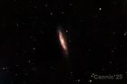 M98_20250527_small.jpg