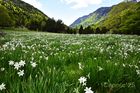 LlacBesiberris_20250524_11_small.jpg