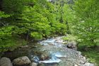 LlacBesiberris_20250524_13_small.jpg