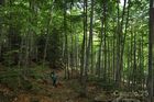LlacBesiberris_20250524_14_small.jpg