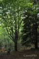 LlacBesiberris_20250524_15_small.jpg