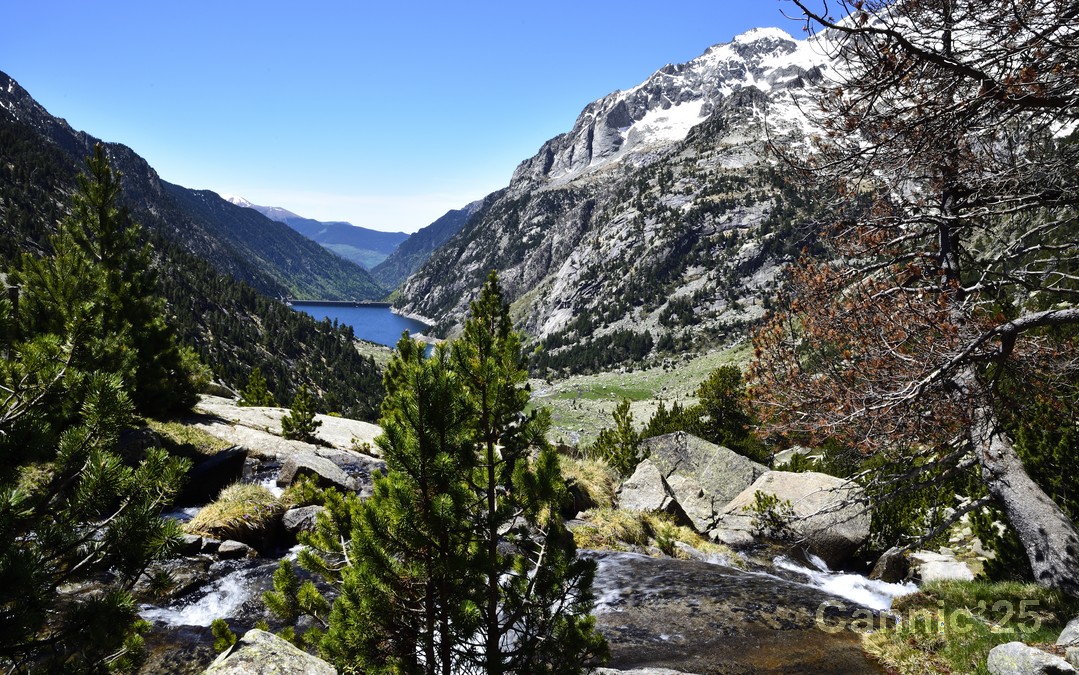 LlacTravessani_20250525_17.jpg